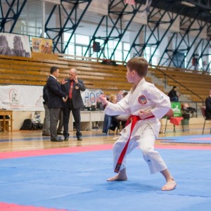 Campionatul National de Karate-Do Shotokan