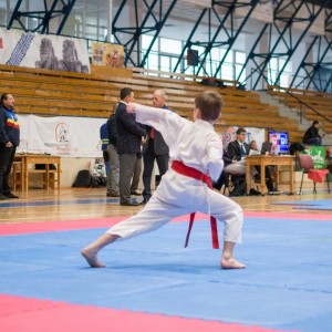 Campionatul National de Karate-Do Shotokan