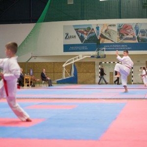 Campionatul National de Karate-Do Shotokan