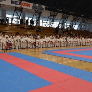 Campionatul National de Karate-Do Shotokan