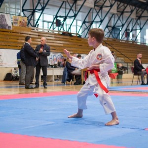 Campionatul National de Karate-Do Shotokan